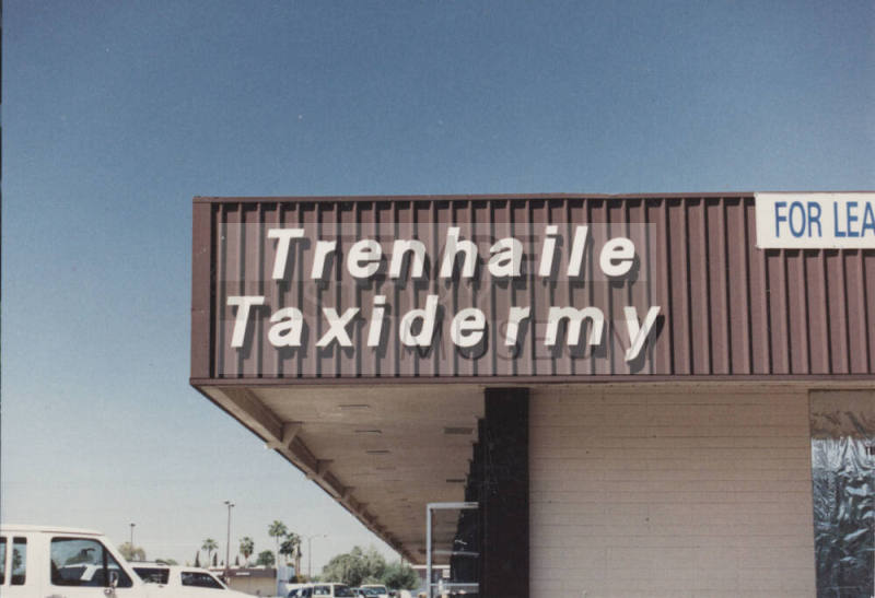 Trenhaile Taxidermy - 3400 South Mill Avenue - Tempe, Arizona