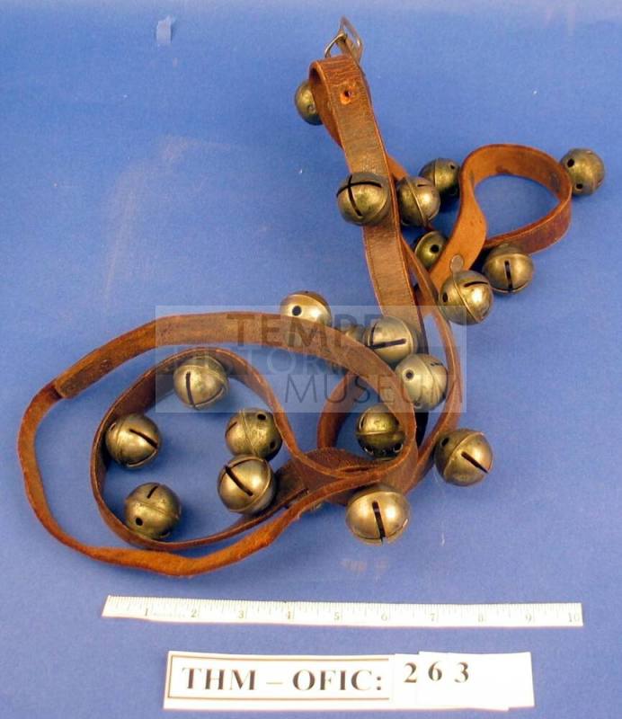 Bells, sleigh