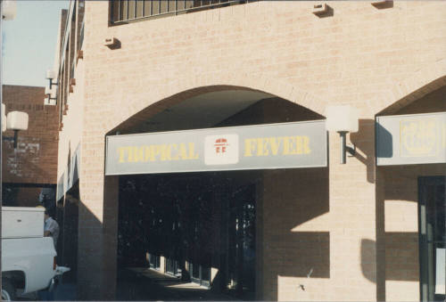 Tropical Fever - 725 South Rural Road - Tempe, Arizona