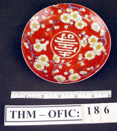 Saucer