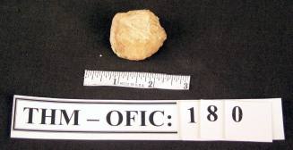 Rock with fossil