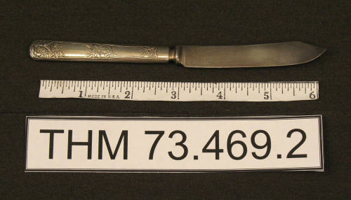 Fruit Knife