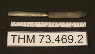 Fruit Knife