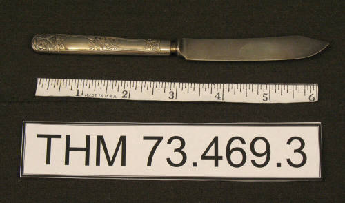 Fruit Knife