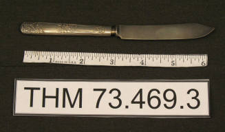 Fruit Knife