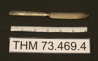 Fruit Knife
