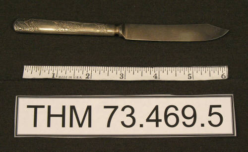 Fruit Knife