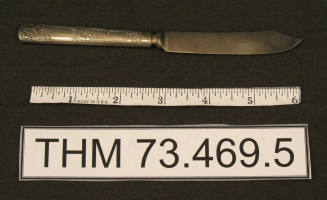 Fruit Knife