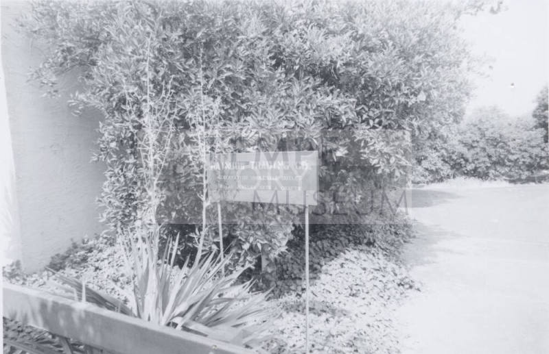 Rainbow Trading Company - 2025 West Baseline Road, Tempe, Arizona