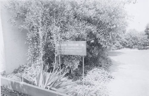 Rainbow Trading Company - 2025 West Baseline Road, Tempe, Arizona