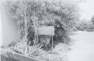 Rainbow Trading Company - 2025 West Baseline Road, Tempe, Arizona