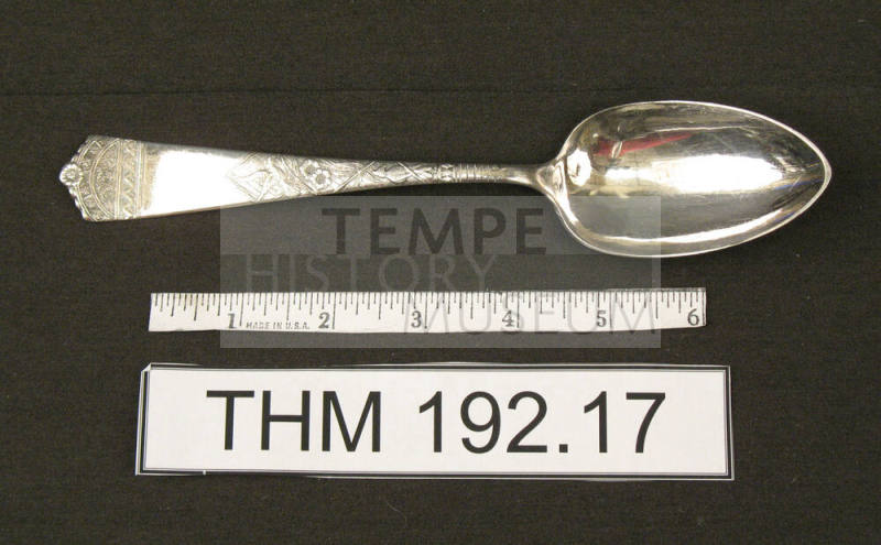 WB & Co Serving Spoon