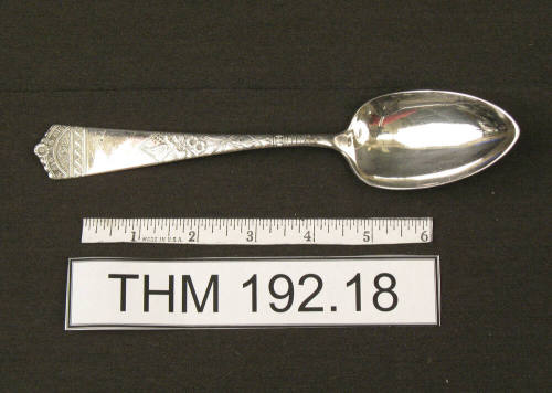 WB & Co Serving Spoon