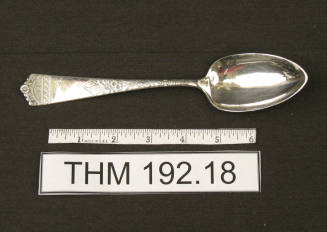 WB & Co Serving Spoon