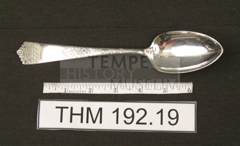 WB & Co Serving Spoon