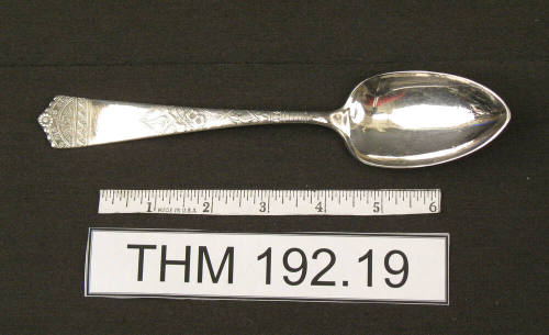 WB & Co Serving Spoon