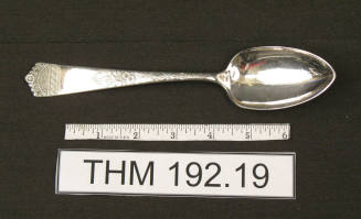 WB & Co Serving Spoon