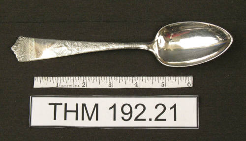 WB & Co Serving Spoon
