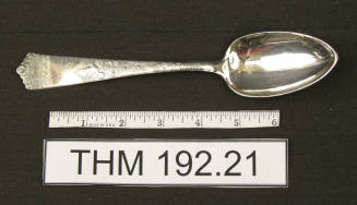 WB & Co Serving Spoon