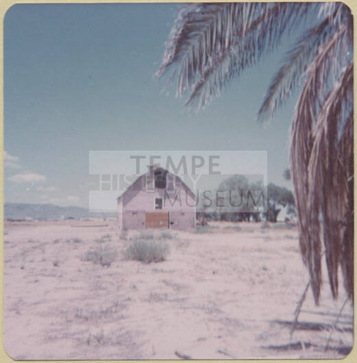 Cottrell Farm Site, 1977