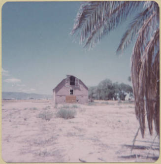 Cottrell Farm Site, 1977
