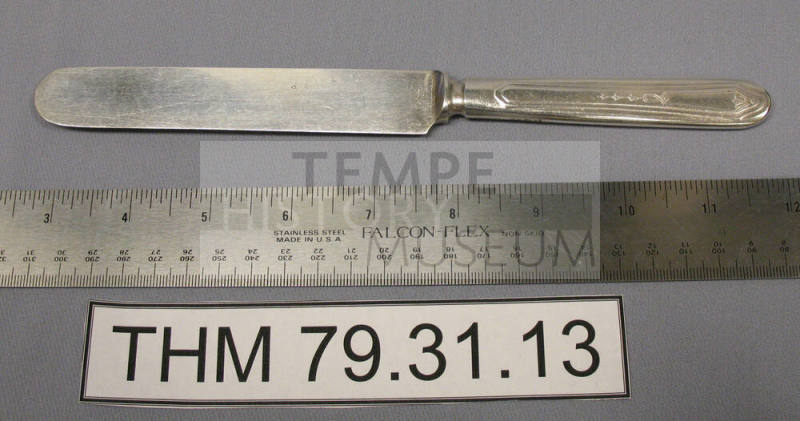 Oneida Tudor Plate Dinner Knife