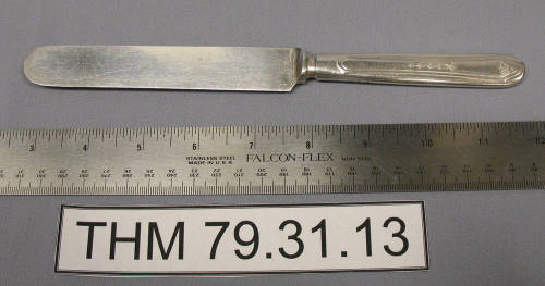 Oneida Tudor Plate Dinner Knife