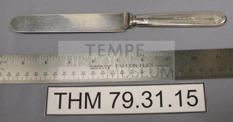 Oneida Tudor Plate Dinner Knife