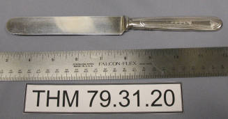 Oneida Tudor Plate Dinner Knife