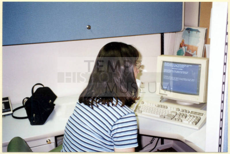 Susan Johnson at Computer Volunteering for Proposition 200 Campaign.