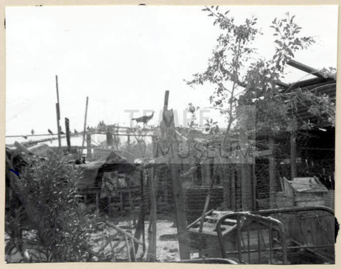 Rural Road Barrio with Bird on a Fence.