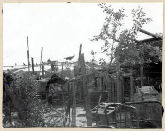 Rural Road Barrio with Bird on a Fence.