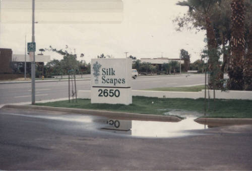 Silk Scapes  -  2650  North Scottsdale Road,  Tempe, Arizona