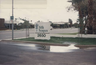 Silk Scapes  -  2650  North Scottsdale Road,  Tempe, Arizona