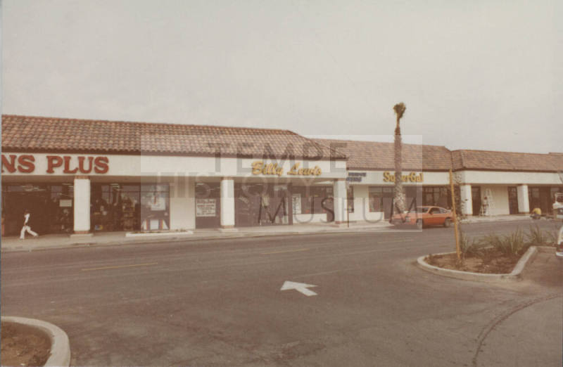 Billy Lewis  -  1628 East Southern Avenue,  Tempe, Arizona