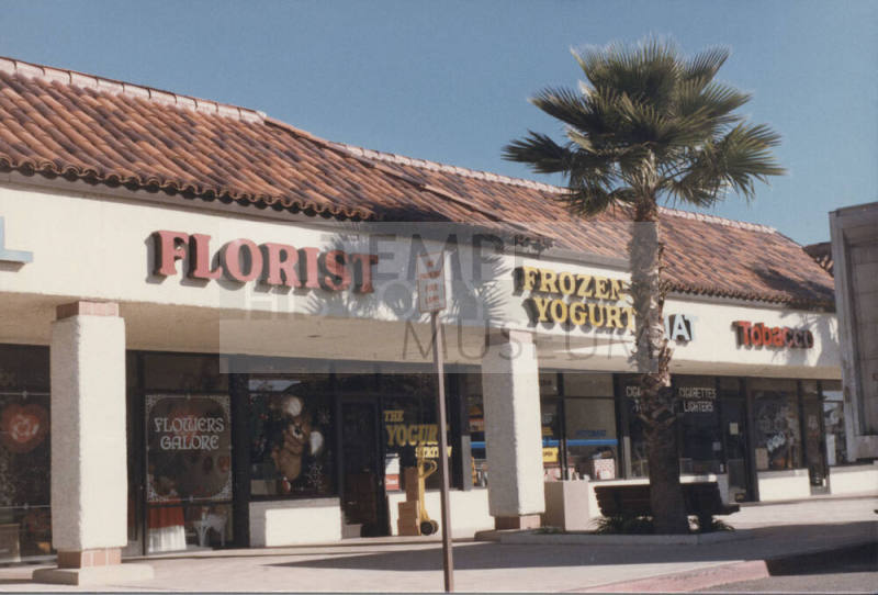 Flowers Galore    -  1726  East Southern Avenue,  Tempe, Arizona