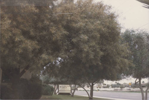 Hamilton Group  - 1850 East Southern Avenue, Tempe, Arizona
