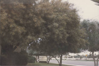 Hamilton Group  - 1850 East Southern Avenue, Tempe, Arizona