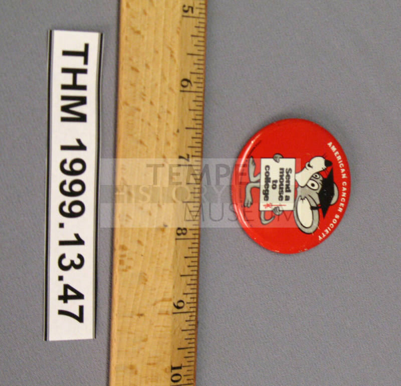 American Cancer Society button