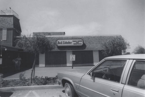 Red Lobster Restaurant - 1628 East Broadway Road, Tempe, Arizona