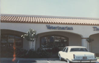 Veterinarian - 1720 E. Warner Road, Tempe, AZ.