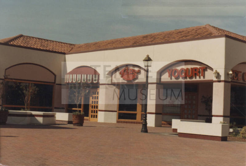 Yogurt- 1721 E. Warner Road, Tempe, AZ.