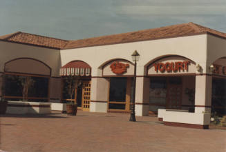 Yogurt- 1721 E. Warner Road, Tempe, AZ.