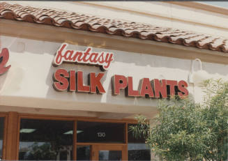 Fantasy Silk Plants  - 1840 E. Warner Road, Tempe, AZ