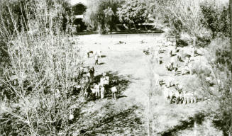 OS-33   AZ State Teachers College Farm: 4-H Fair