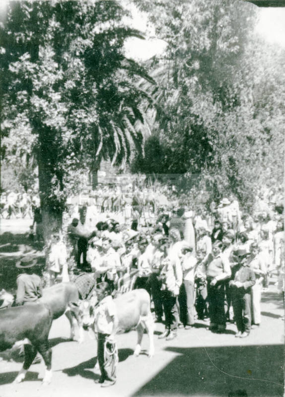 OS-34   AZ State Teachers College Farm: 4-H Fair