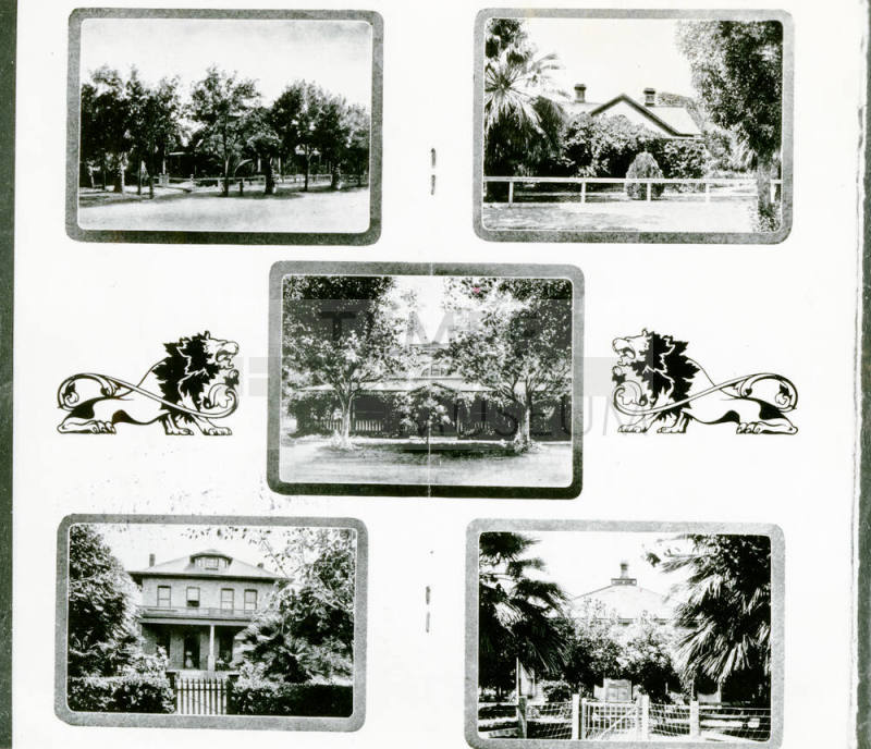 OS-72 Five Views of Typical Tempe Homes
