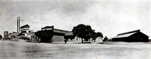 OS-206   Pacific Creamery on 8th St.