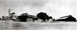 OS-206   Pacific Creamery on 8th St.