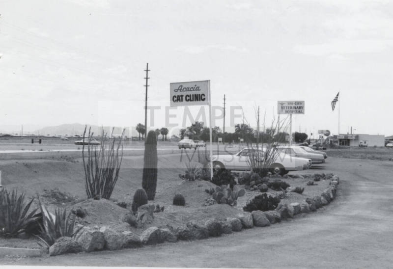 Acacia Cat Clinic - 2334 East Broadway Road, Tempe, Arizona